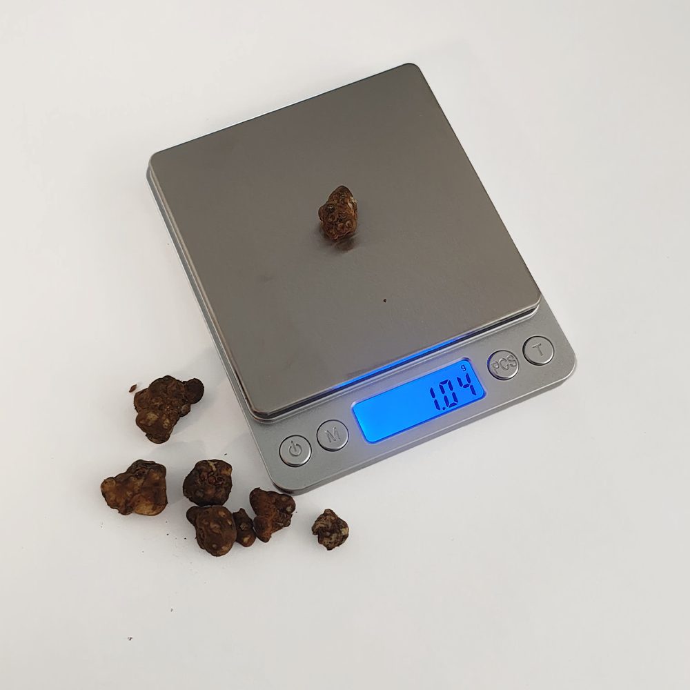 Digital Precision Scale Measuring Magic Truffles – Microdose Bros