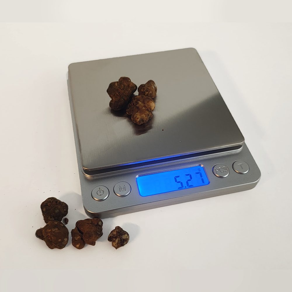 Precision Digital Scale Weighing Magic Truffles – Microdose Bros