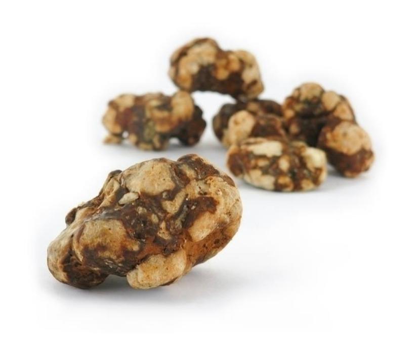 Natural Psilocybin