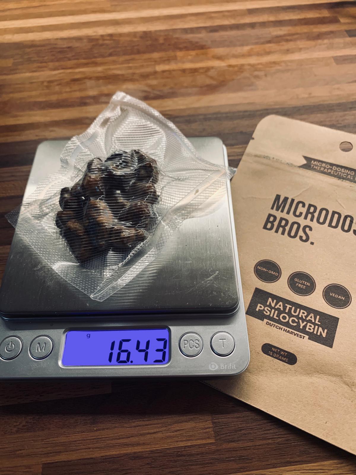 ¿Qué son las trufas mágicas de psilocibina? Todo sobre Psilocibina.