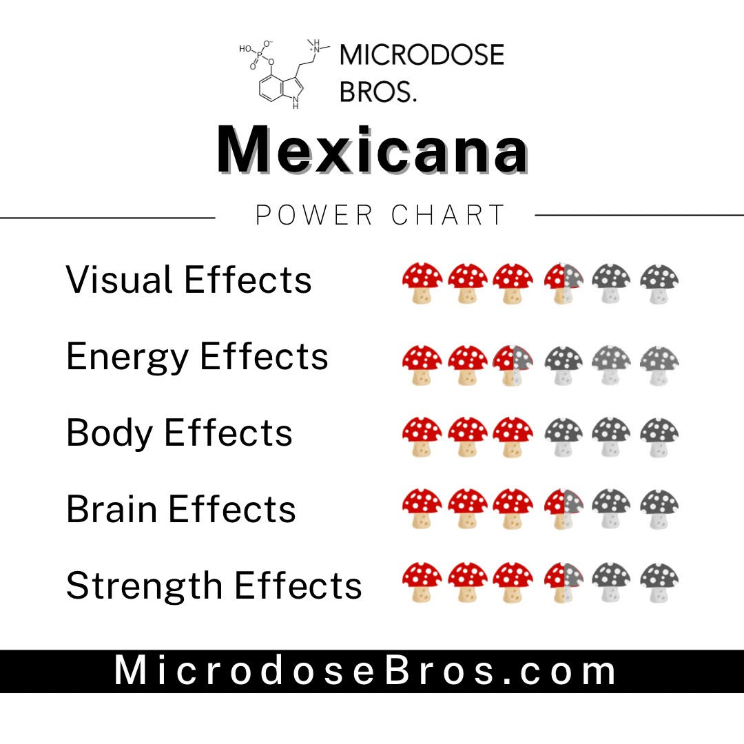 Mexicana Magic Truffles 15g Effects Chart – Visual, Energy, Body, Brain & Strength Ratings | Microdose Bros