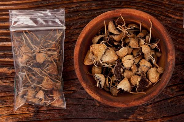HET DROGEN VAN MAGISCHE PADDESTOELEN EN TRUFFELS