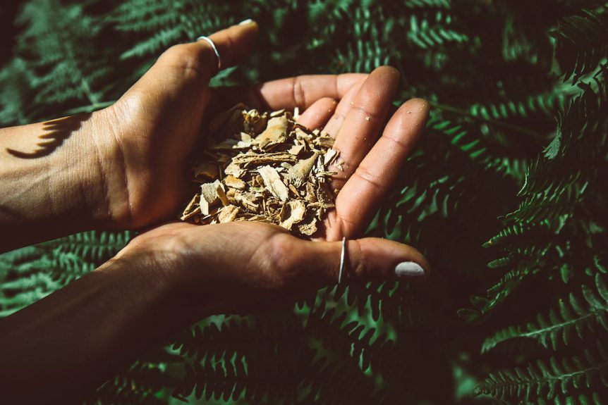 Iboga Microdosing