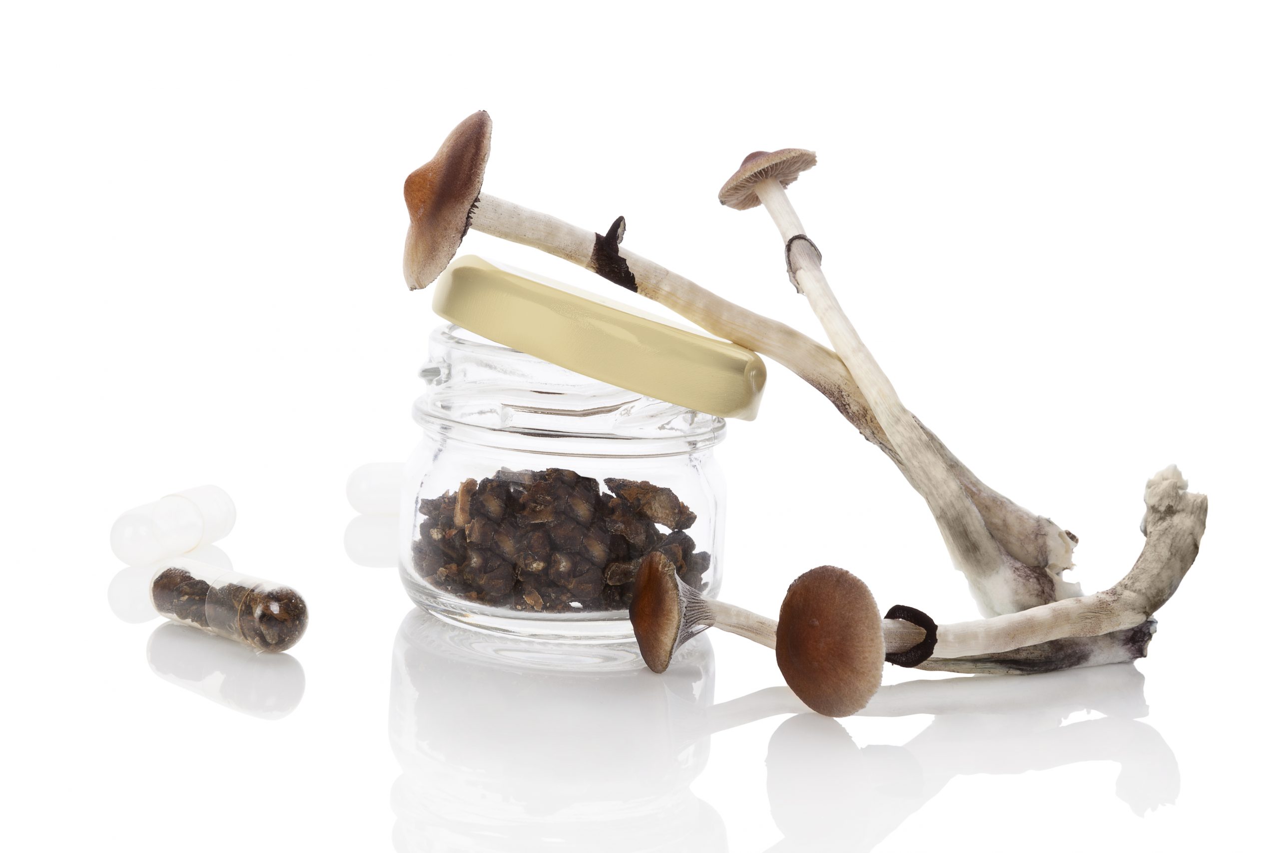 Cómo secar las setas y las trufas mágicas
