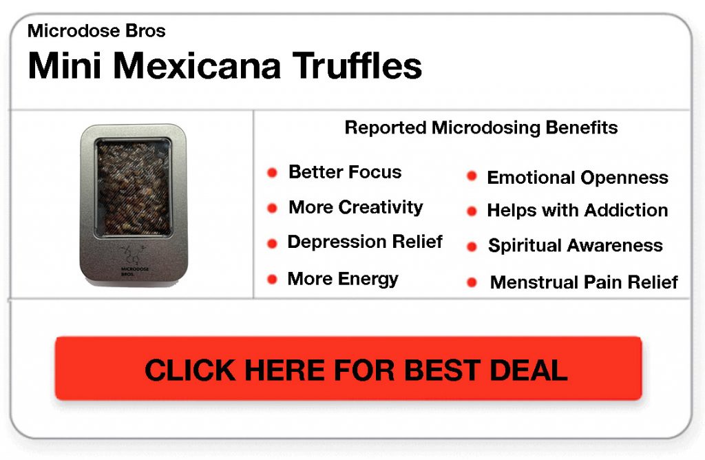Mini Mexicana Microdose Bros
