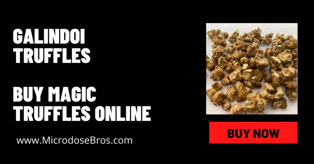 Buy Galindoi Magic Truffles