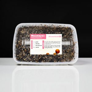Mazatapec Magic Mushroom