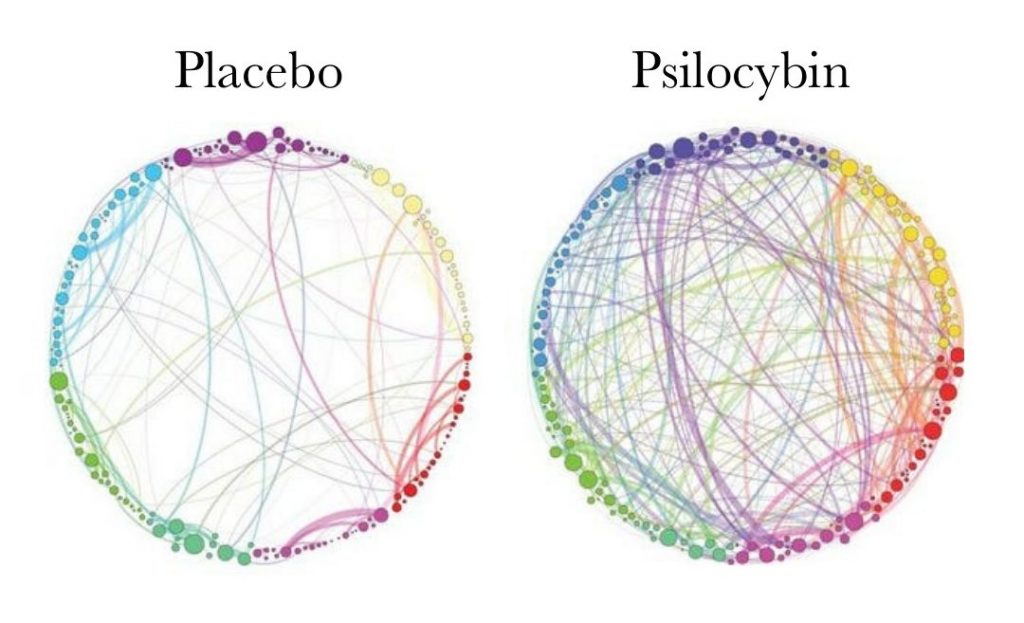 Neuroplasticity+-+IG