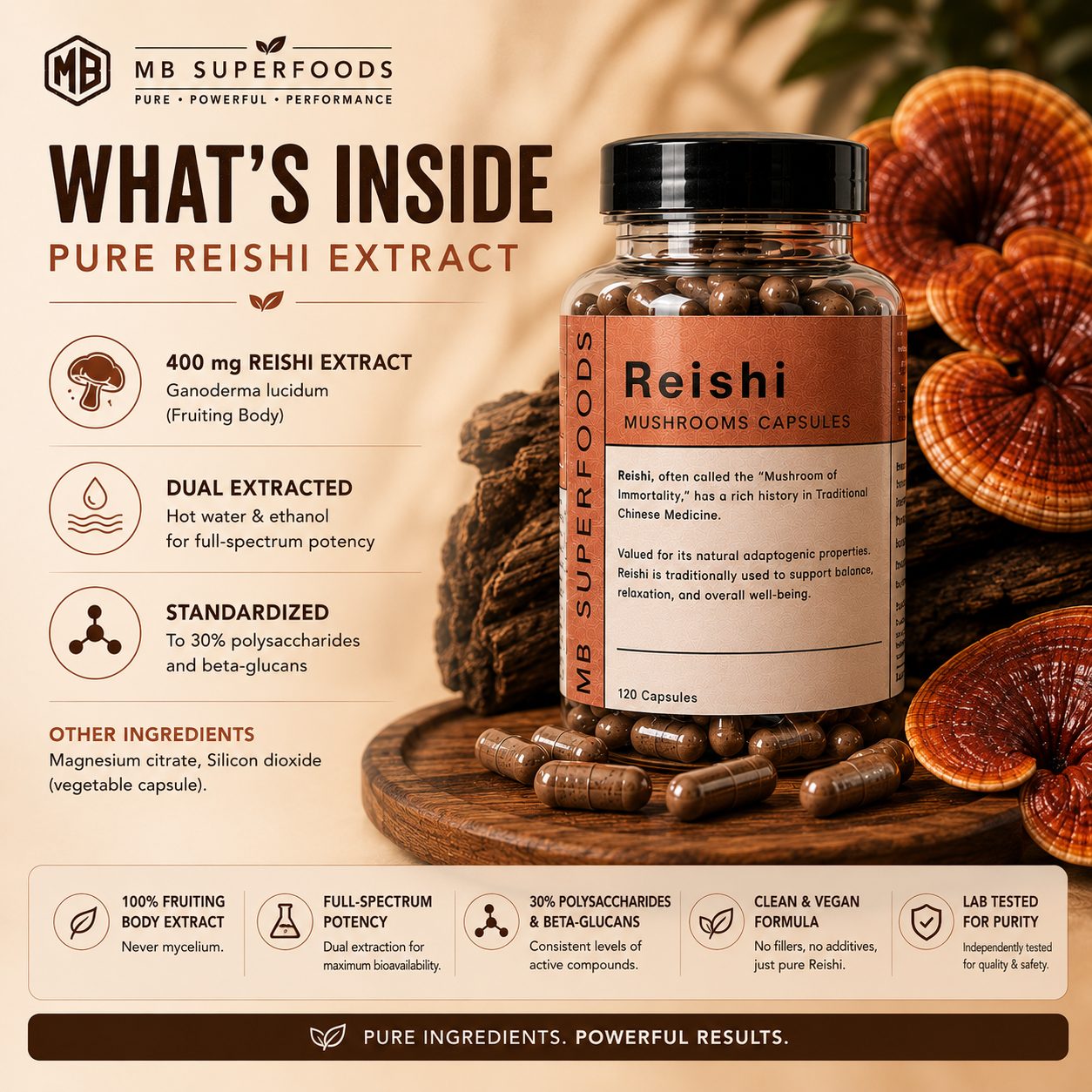 MB Superfoods Reishi Extract Capsules infographic showing pure reishi extract ingredients, dual extraction process and beta-glucan standardization