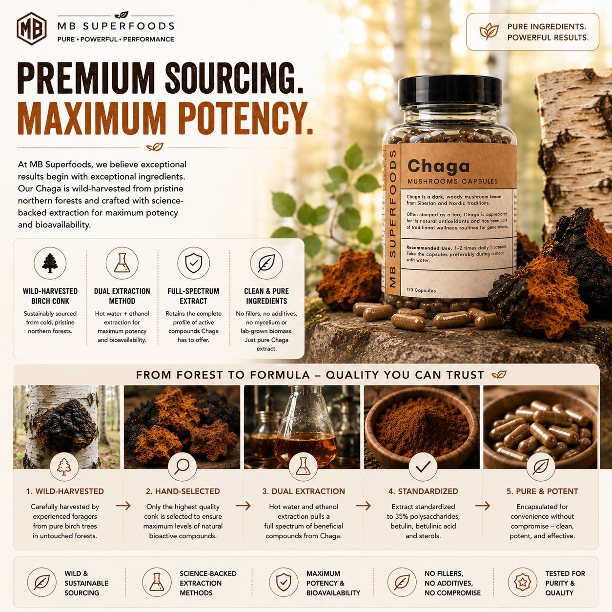 MB Superfoods Chaga Capsules with wild-harvested Chaga mushroom pieces and premium sourcing infographic