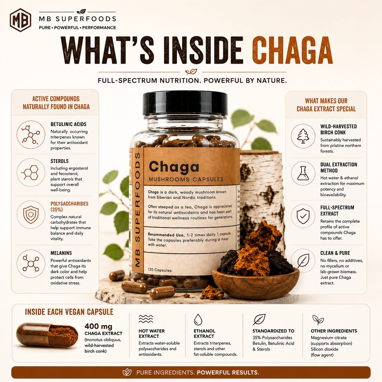 What’s Inside Chaga infographic showing Chaga extract compounds, polysaccharides, sterols, melanin, and dual extraction process by MB Superfoods