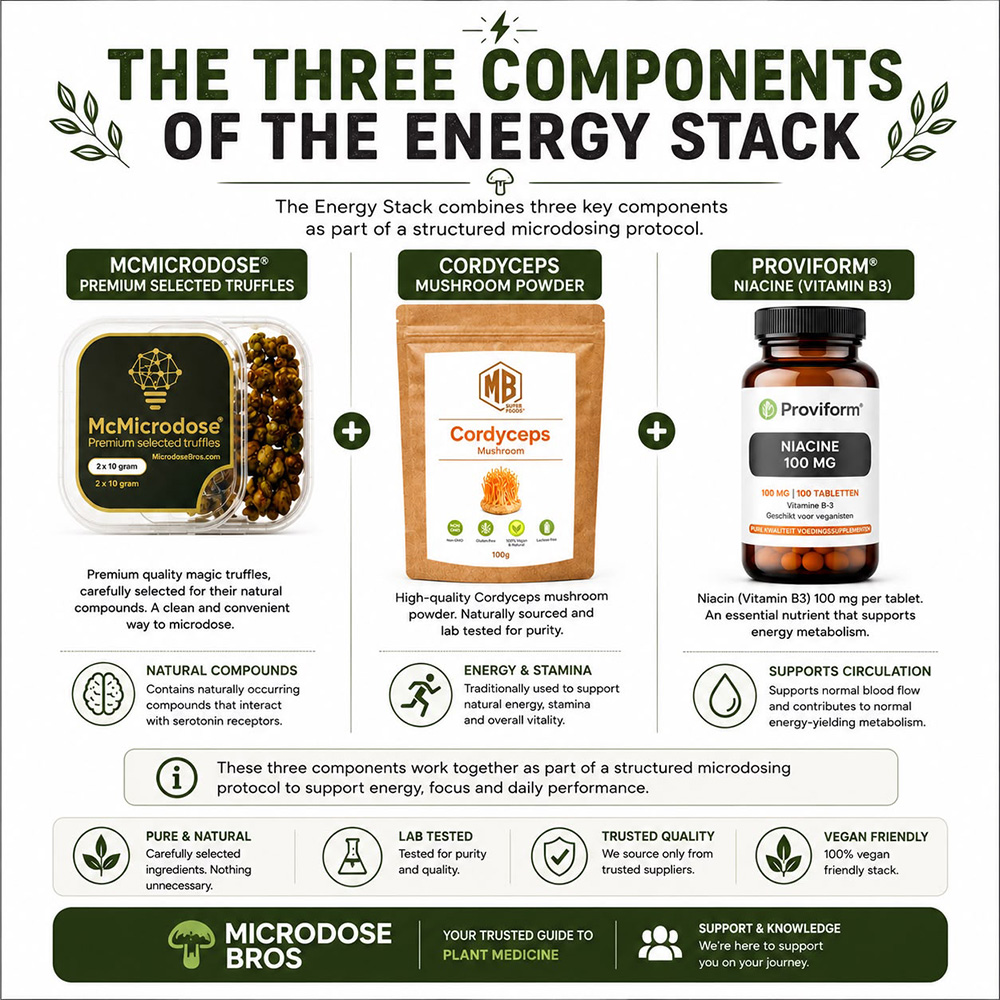 Three components of the Energy Stack with McMicrodose Premium Magic Truffles, Cordyceps mushroom powder and niacin vitamin B3