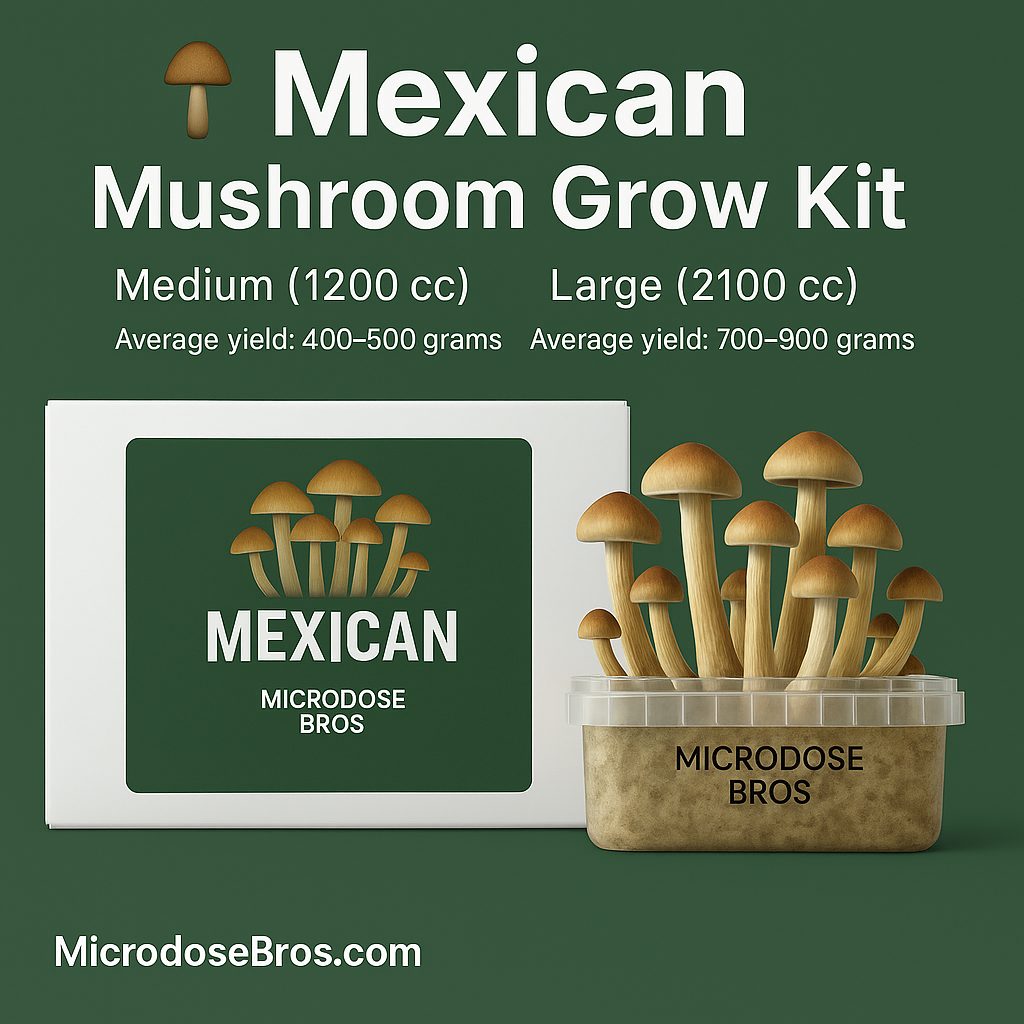 Mexican Magic Mushroom Grow Kit – Premium psilocybe cubensis grow kit by Microdose Bros