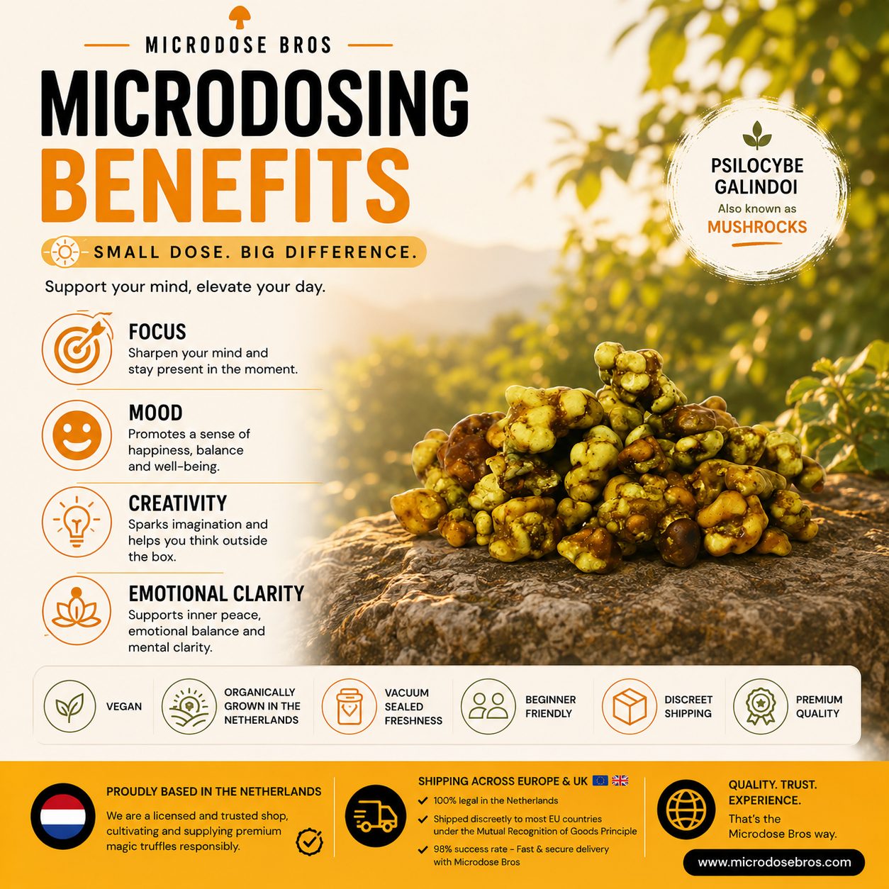 Microdosing benefits infographic for Happy Magic Truffles by Microdose Bros featuring focus, mood, creativity, and emotional clarity with Psilocybe Galindoi truffles