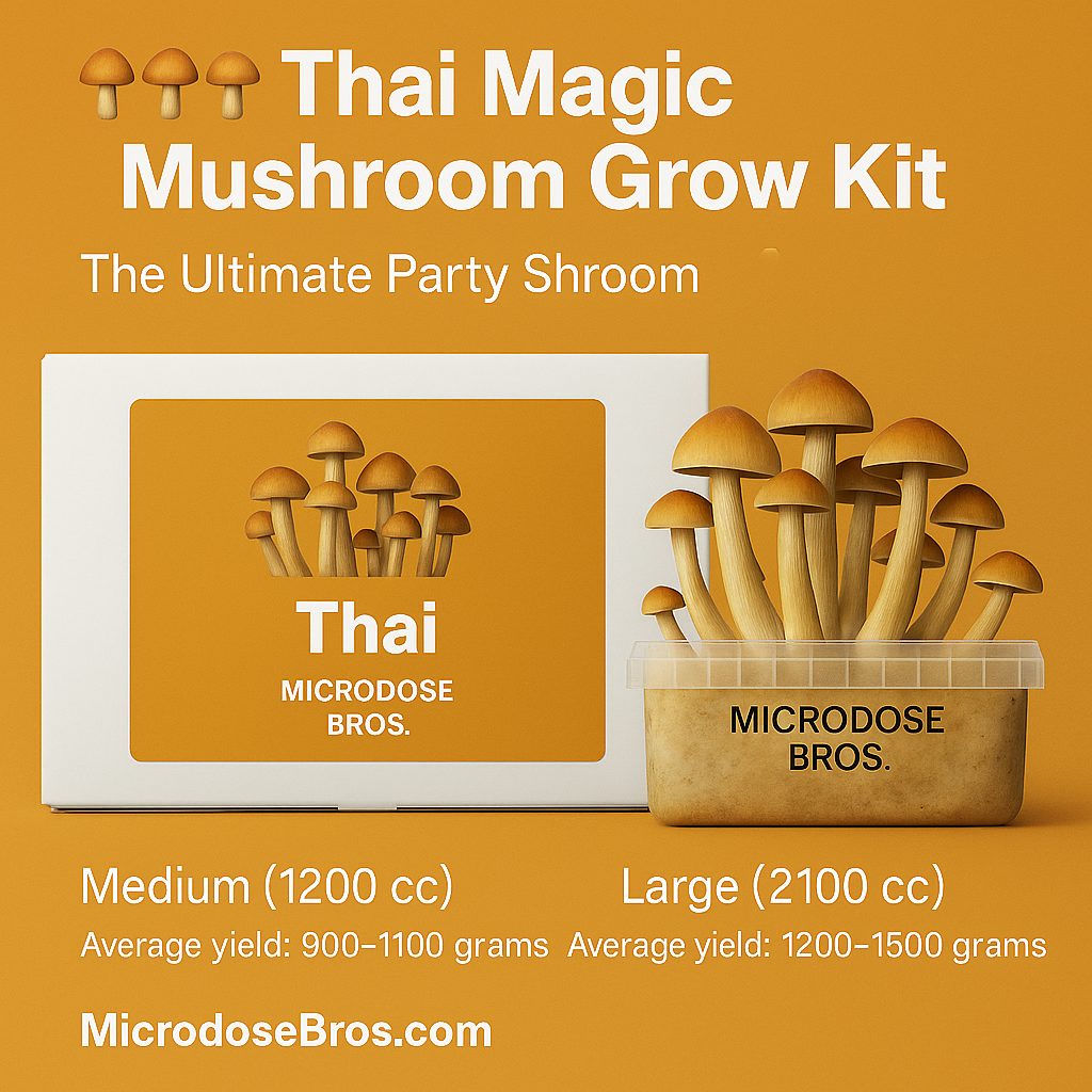 Thai Magic Mushroom Grow Kit – Psilocybe Cubensis party strain by Microdose Bros