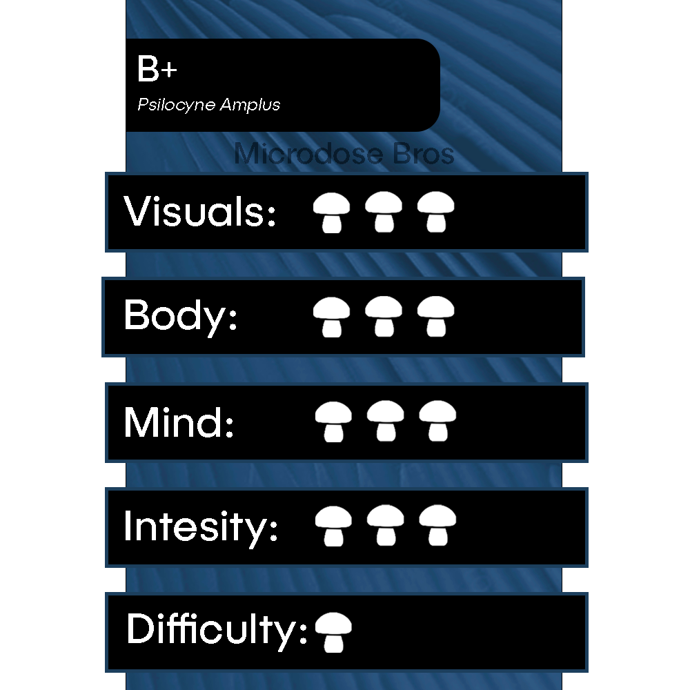 B+ Magic Mushroom Grow Kit chart showing visuals, body, mind, intensity, and difficulty ratings – Psilocyne Amplus strain by Microdose Bros.