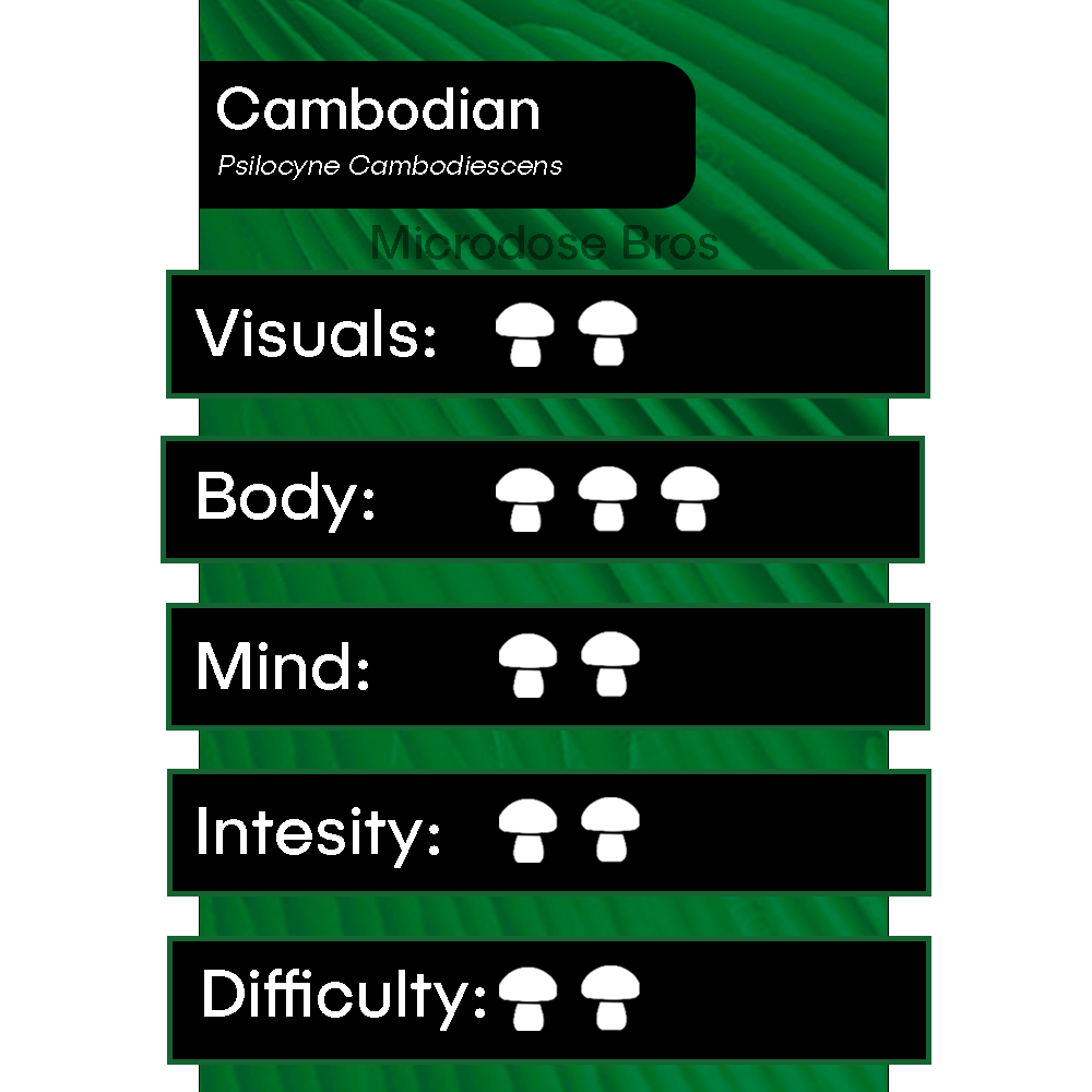 Cambodian Magic Mushroom Grow Kit chart showing visuals, body, mind, intensity, and difficulty ratings – Psilocyne Cambodiescens strain by Microdose Bros.