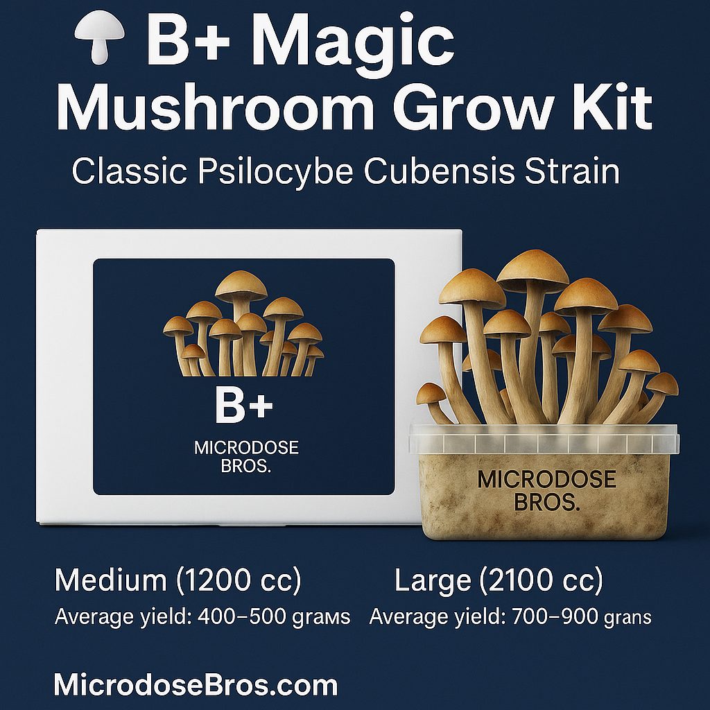 B+ Magic Mushroom Grow Kit – Classic Psilocybe Cubensis strain by Microdose Bros