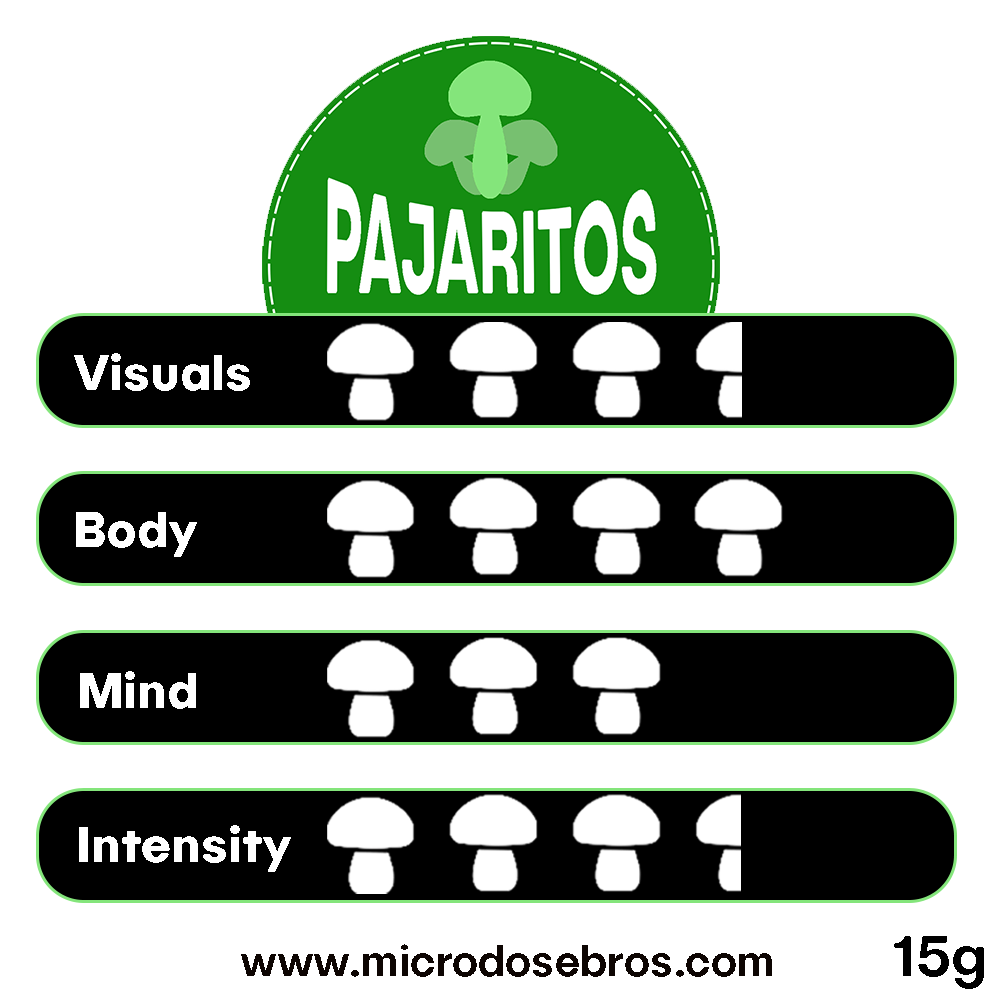 Magic Truffles Pajaritos – 15 Grams strength chart showing visuals, body, mind, and intensity