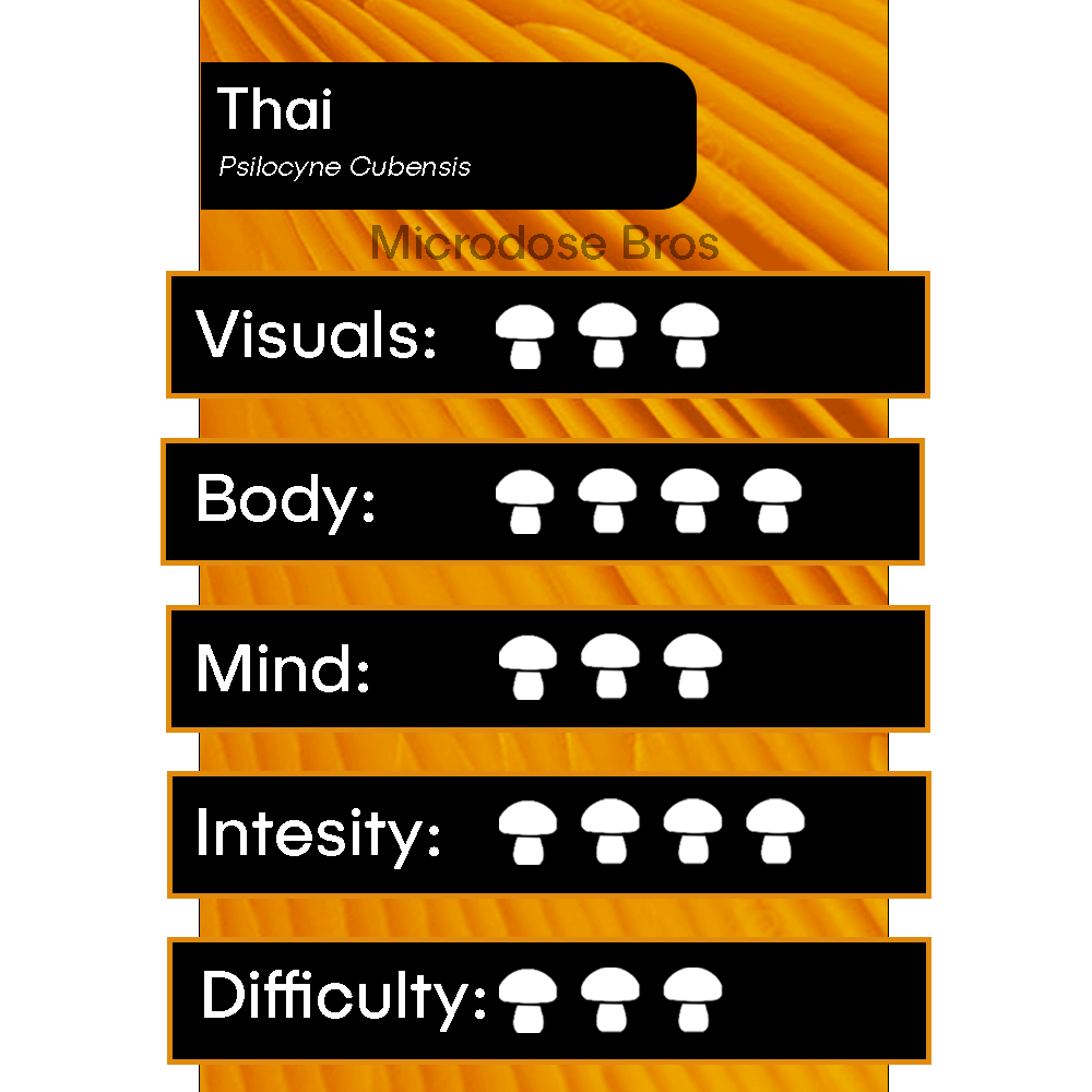 Thai Magic Mushroom Grow Kit chart showing visuals, body, mind, intensity, and difficulty ratings – Psilocybe Cubensis strain by Microdose Bros.