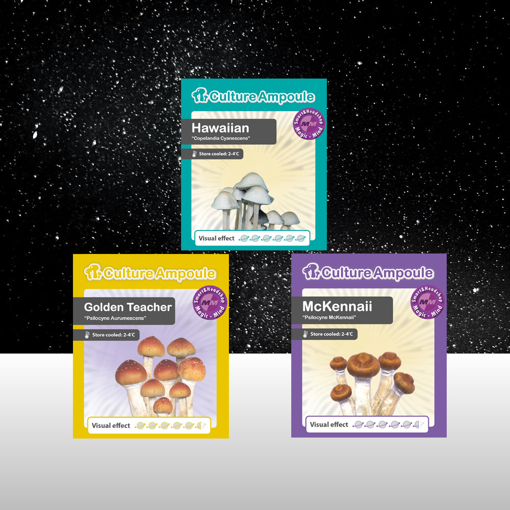 Magic Mushroom Spores