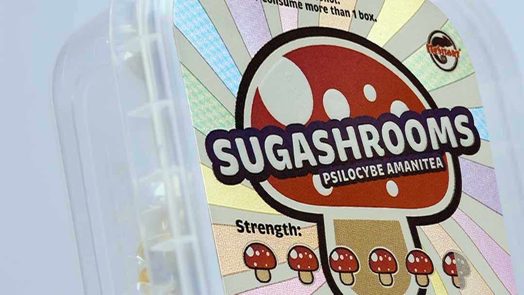 Unlocking the Mystique of Psilocybe Amanitea – Exploring Newest Sugashrooms Magic Truffles