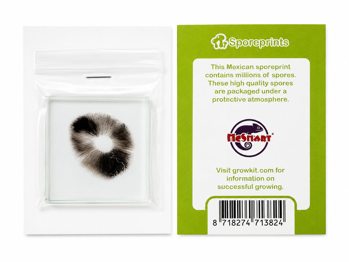 Mexican mushroom spore print with protective packaging and product information card