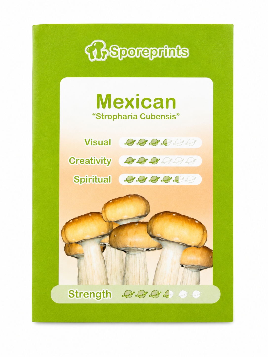 Mexican spore print package contents with sealed spore print and product information card