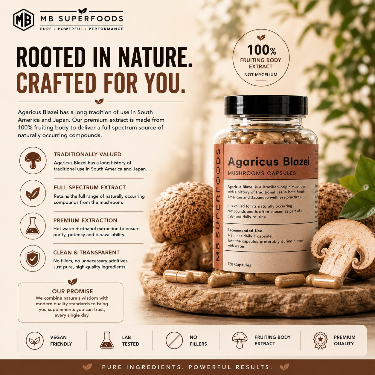 MB Superfoods Agaricus Blazei Capsules made from 100% fruiting body extract with premium mushroom wellness support