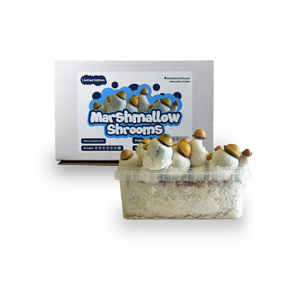 Marshmallow Shrooms Growkit for Easy Cultivation