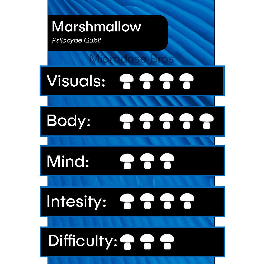 Marshmallow Magic Mushroom Grow Kit chart showing visuals, body, mind, intensity, and difficulty ratings – Psilocybe Qubit strain by Microdose Bros.