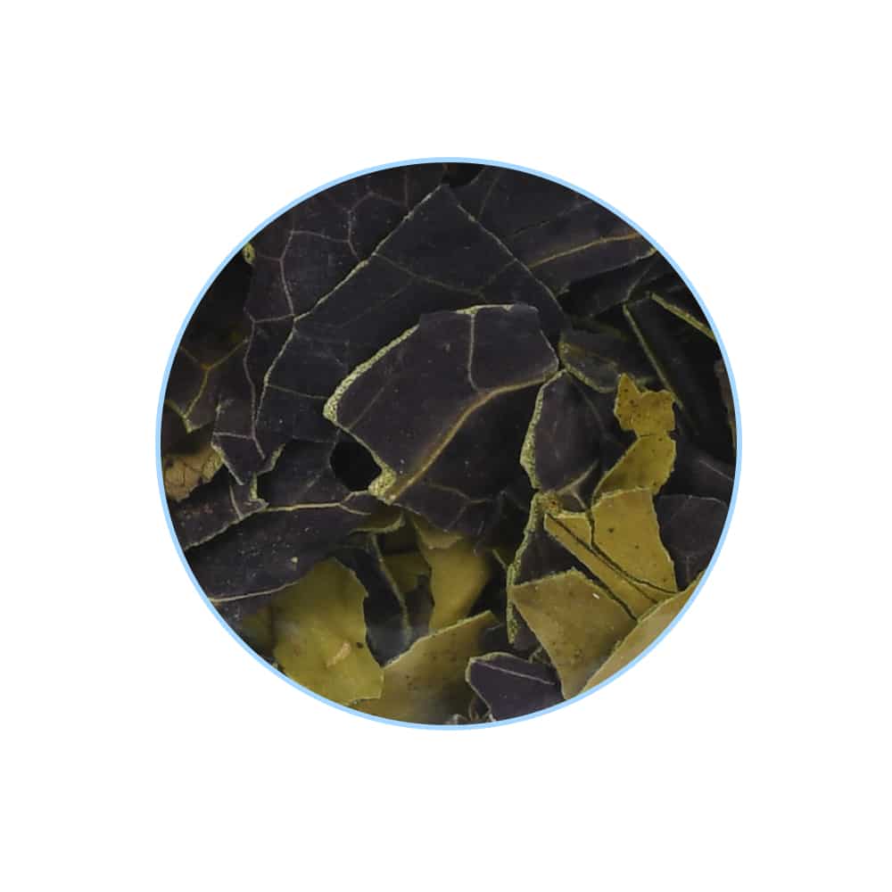 Blue Lotus dried petals – natural calming and euphoric herb by Microdose Bros