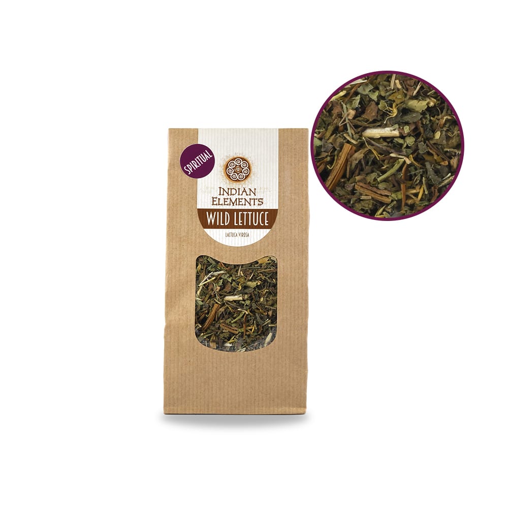 Wild Lettuce dried herbs – natural calming herb by Microdose Bros