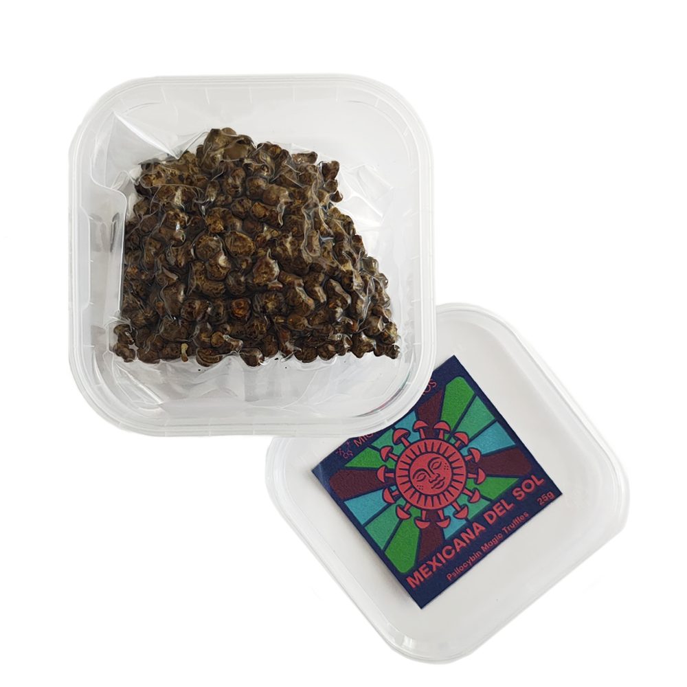 Mexicana del Sol Magic Truffles 25g – Open container with golden psilocybin truffles