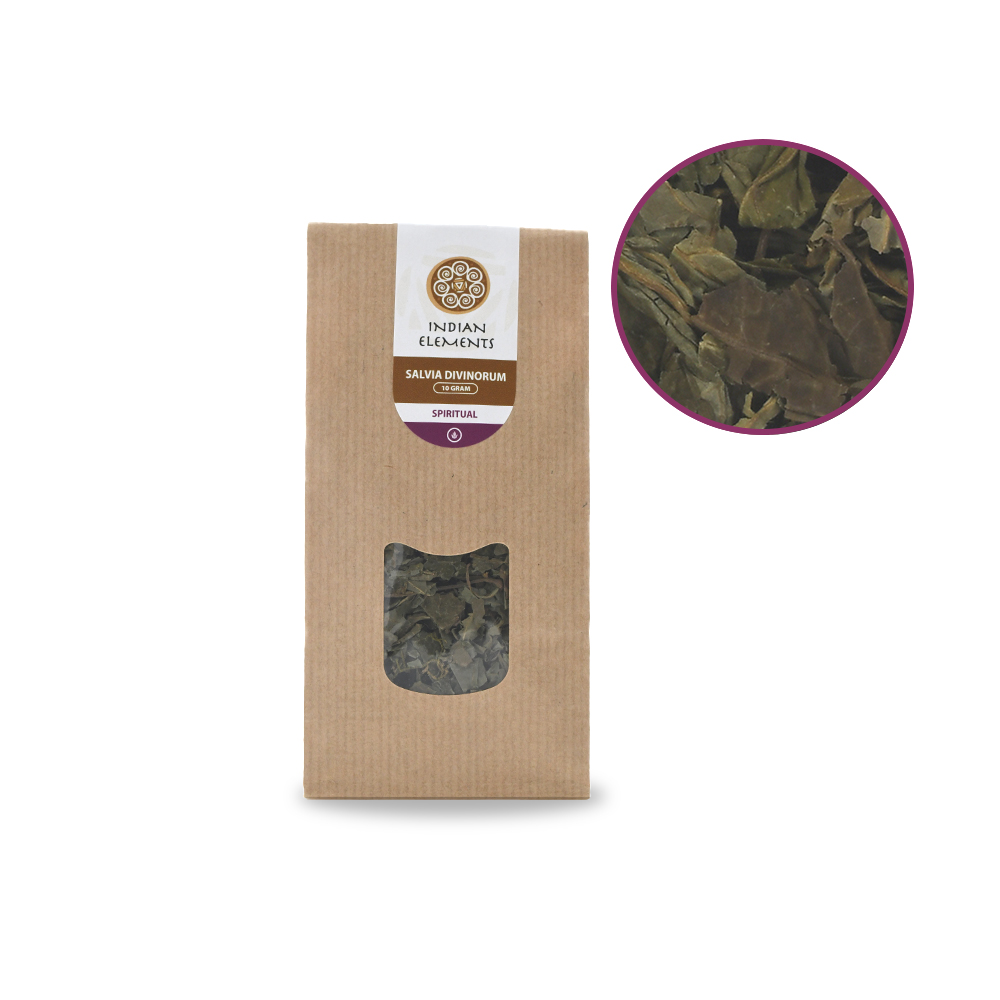 Dried Salvia Divinorum leaves flat on white surface