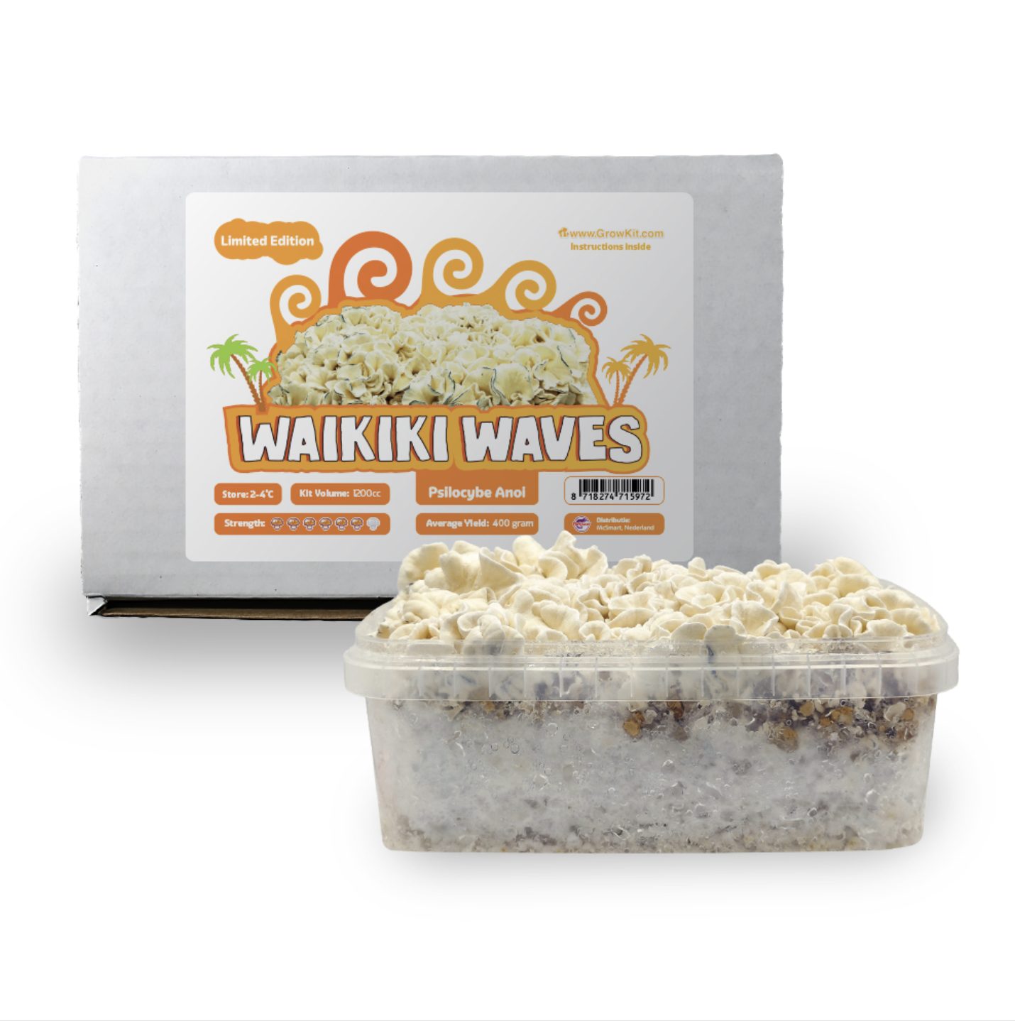 Waikiki Waves Magic Mushroom Grow Kit – Microdose Bros