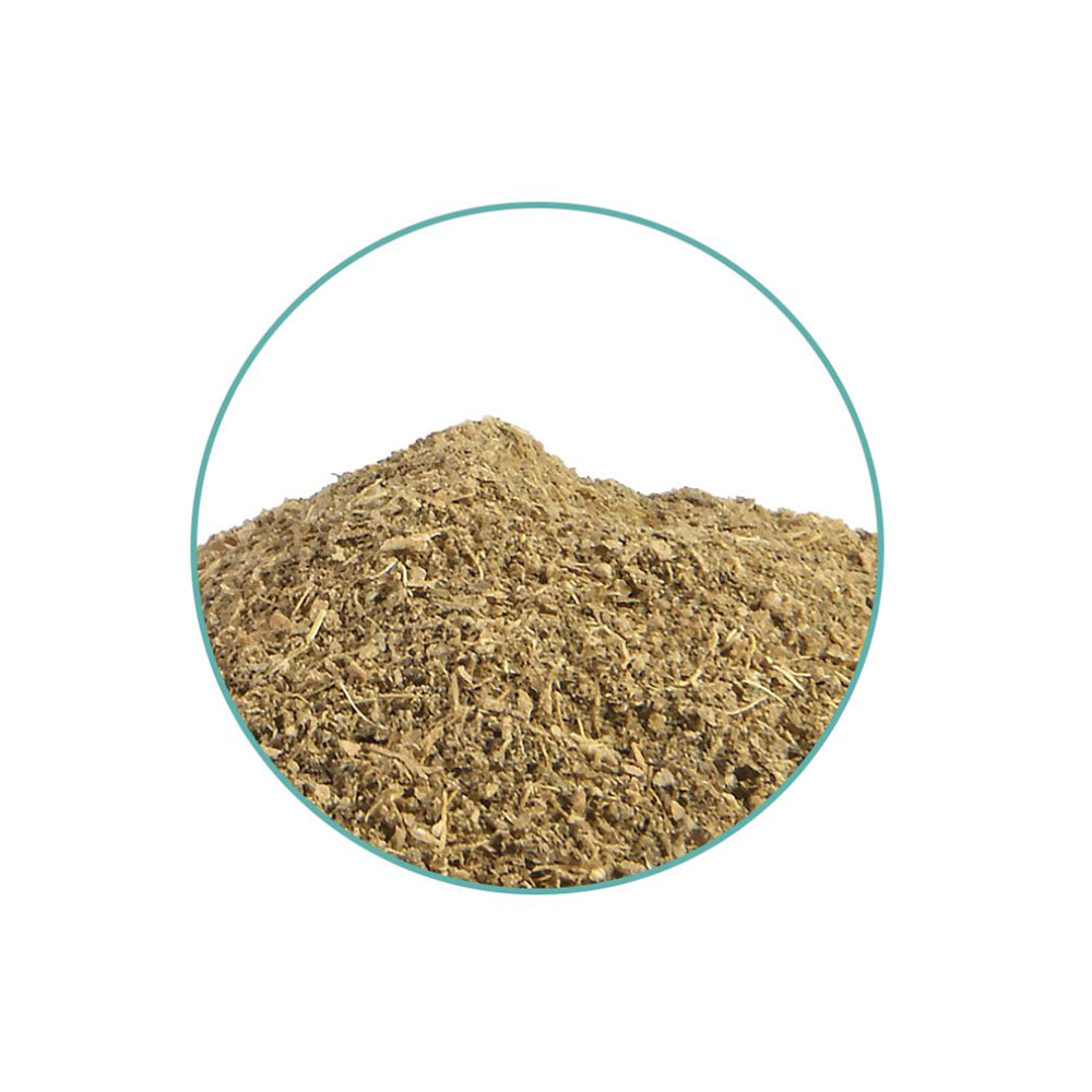 Close-up of McMystic Kanna 10x Extract (Sceletium tortuosum)