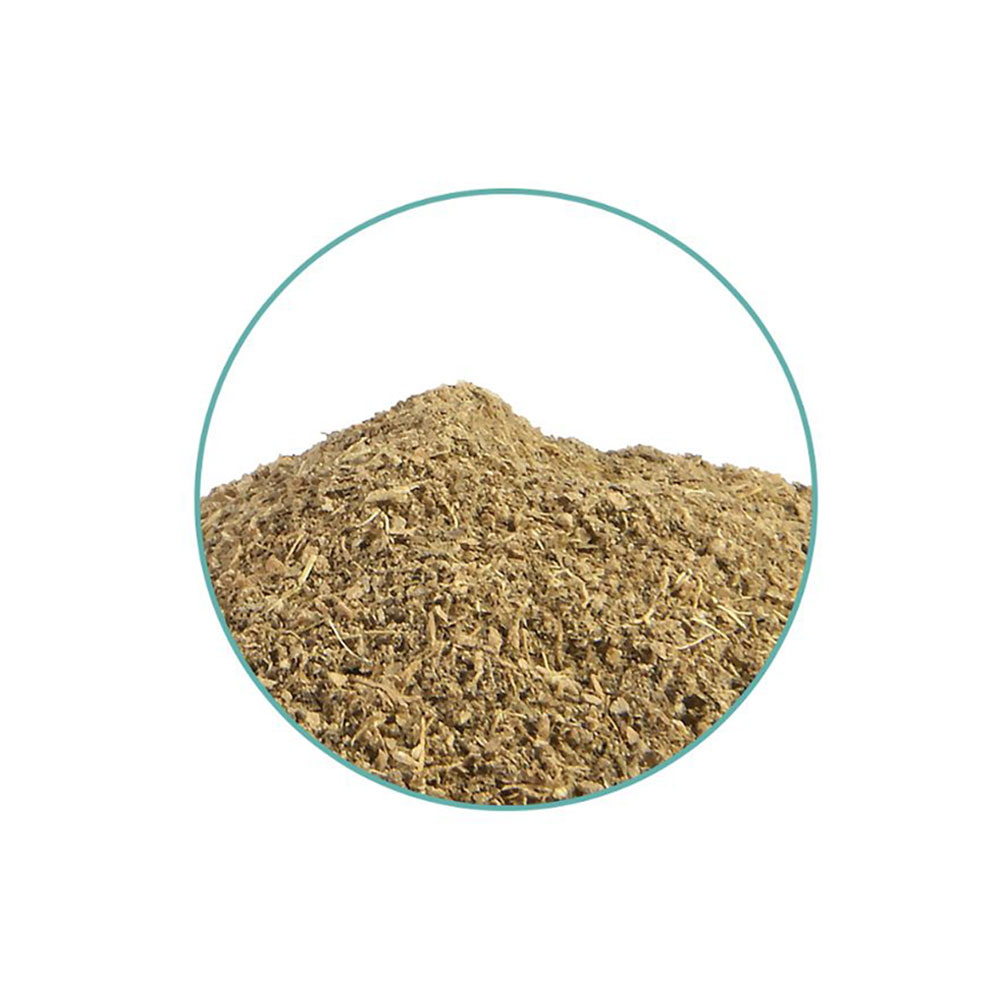Close-up of McMystic Kanna 20x Extract (Sceletium tortuosum)