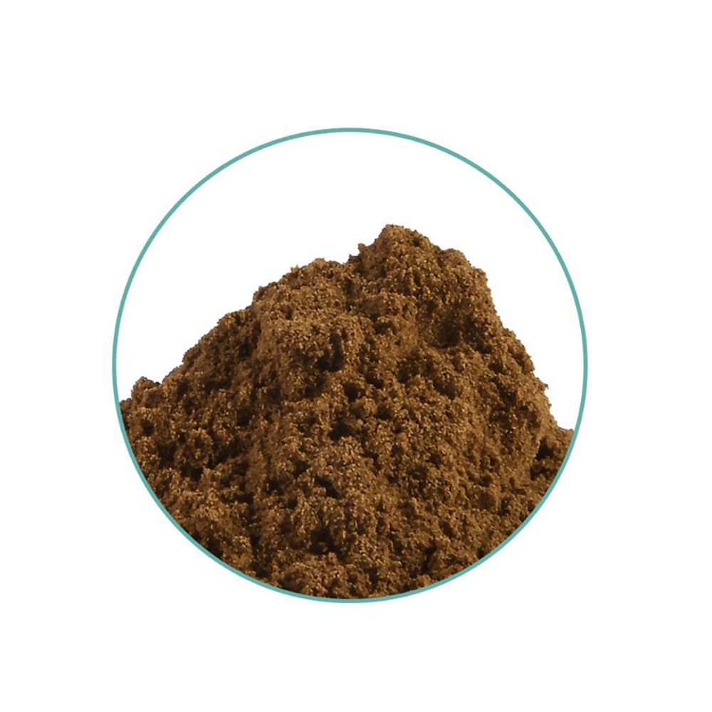 Close-up of McMystic Damiana 10x Extract (Turnera diffusa)