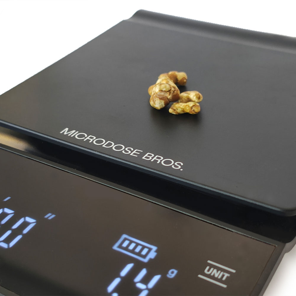 Microdose Bros Precision Microdosing Scale weighing fresh magic truffles