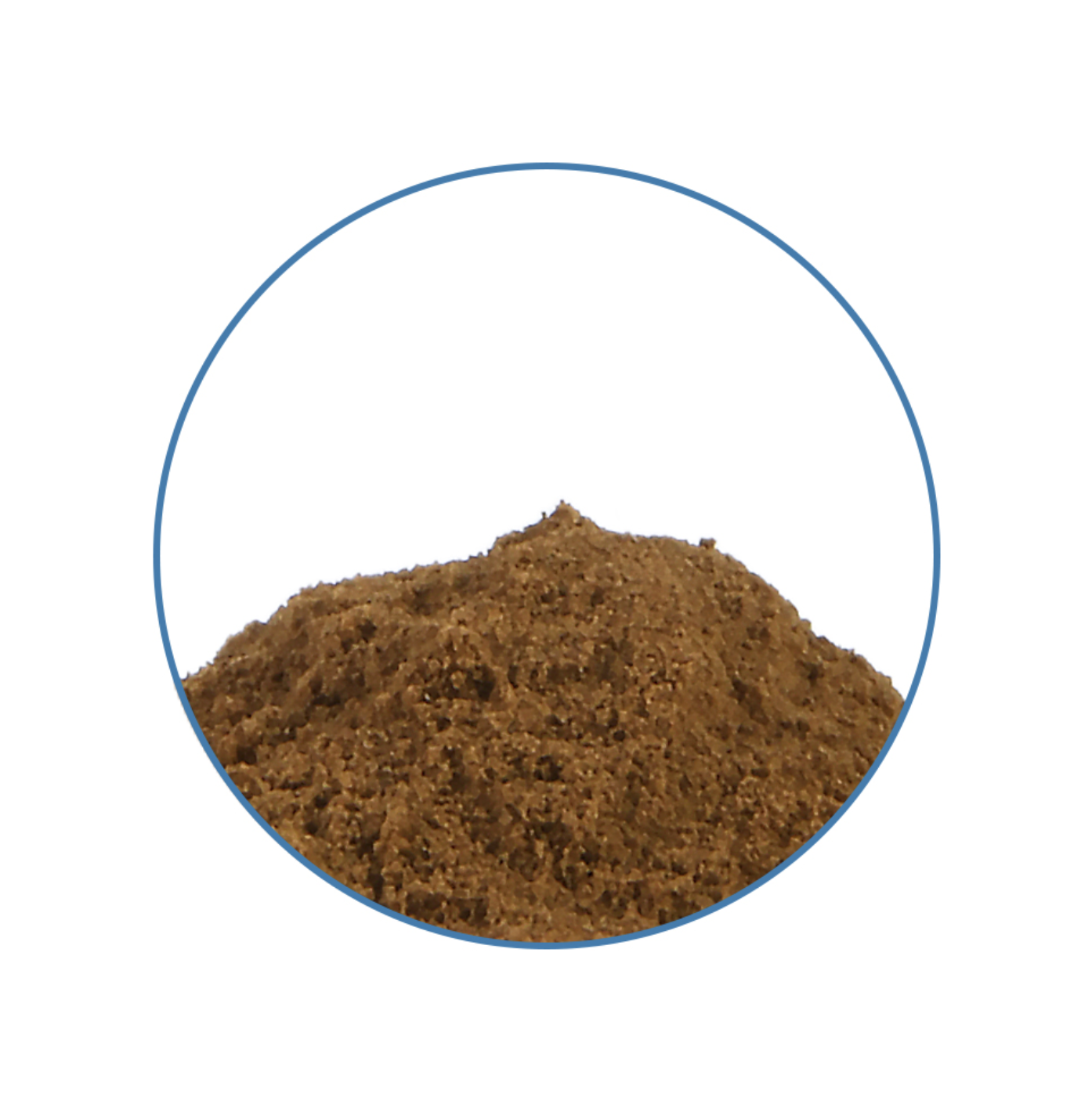 Wild Dagga 20X Extract brown botanical powder close-up showing its fine granular texture